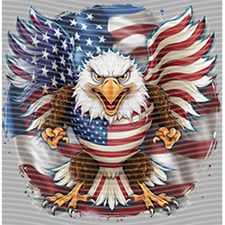 USA-MG 3593